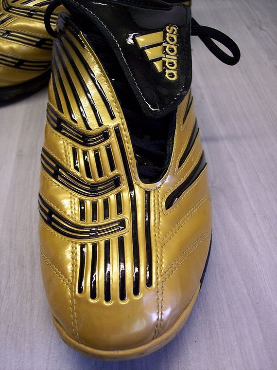 Predator Soccer shoe Predator Soccer shoe