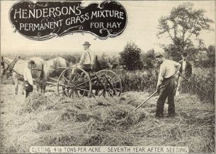 Is denim an American Story-American farmers' manual 1903