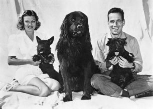 40s Fashion Men, Humphrey Bogart, Mayo Methot and Dog, 1944