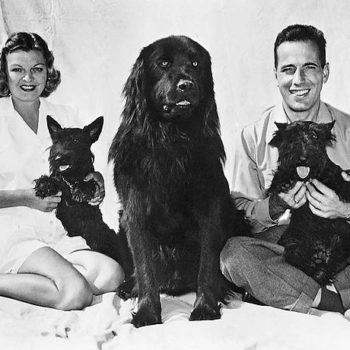 40s Fashion Men, Humphrey Bogart, Mayo Methot and Dog, 1944