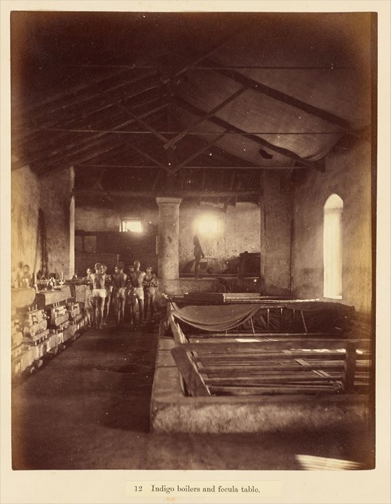 Indigo dye workers in Allahabad, India, 1877 Indigo dye workers in Allahabad, India, 1877