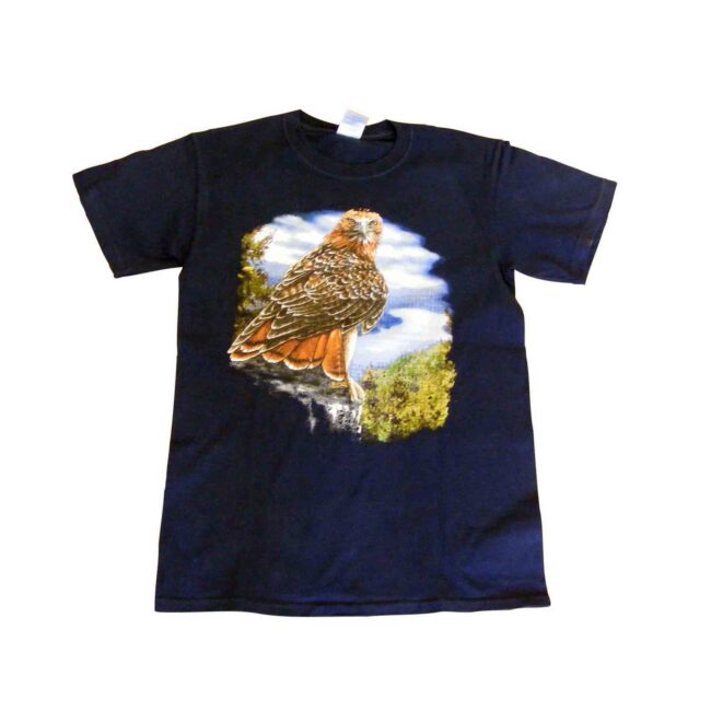 American Eagle T shirt - Small