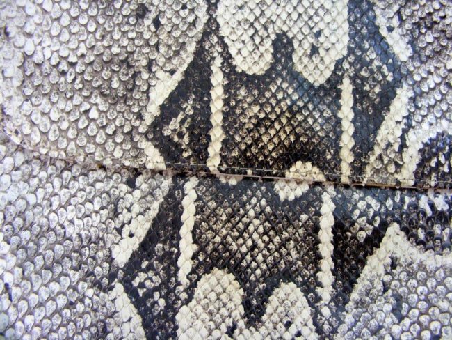 70s Python Snakeskin Hand Bag - Image 2