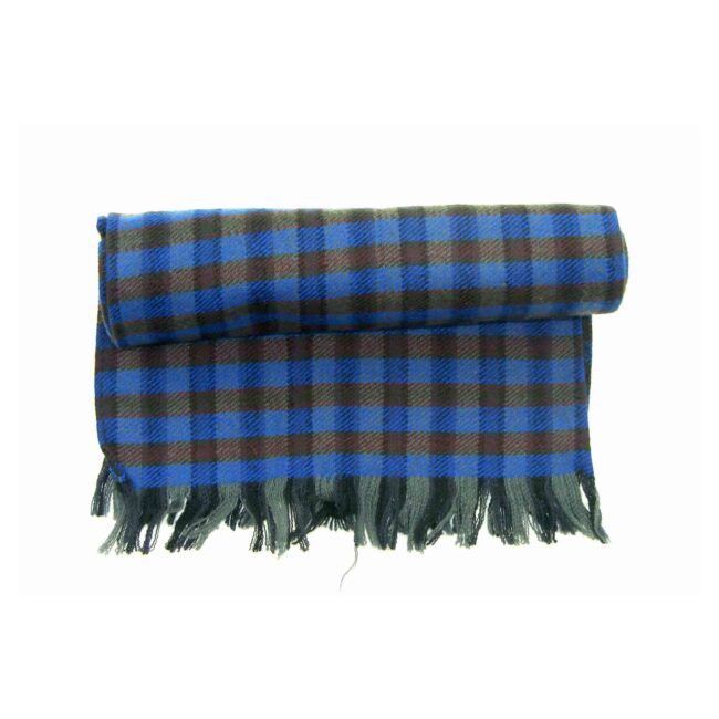 Fringed Blue Checked Scarf