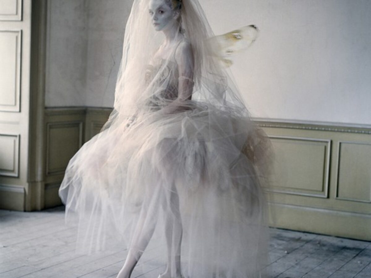 ティムウォーカー　TIM WALKER PICTURES Tim Walker | Michael Hoppen Gallery