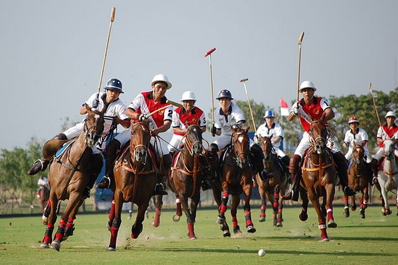 Vintage polo shirts - Polo match Vintage polo shirts - Polo match