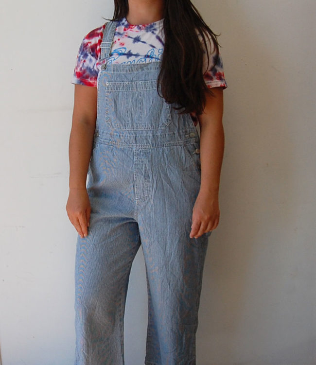 Denim Gloria Vanderbilt Dungarees