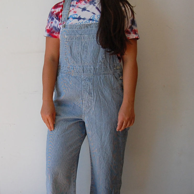 Denim Gloria Vanderbilt Dungarees