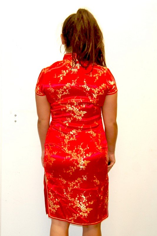 Back of Red Vintage Cheongsam Dress