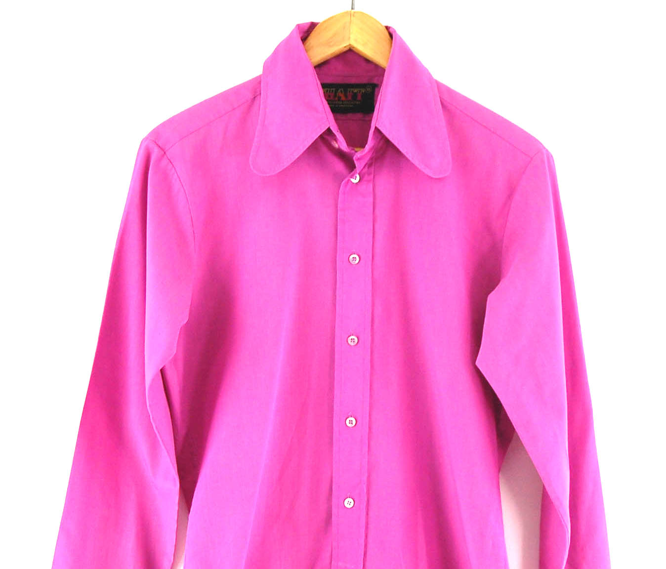 beagle collar shirt