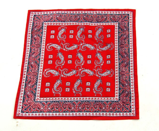 Red Paisley Bandana