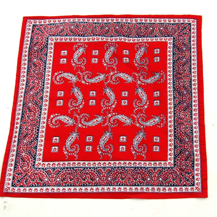 Red Paisley Bandana