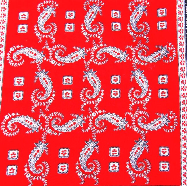 Close up of Red Paisley Bandana