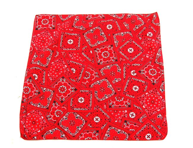 Red And White Bandana