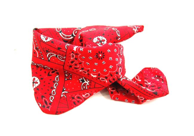 Red And White Bandana