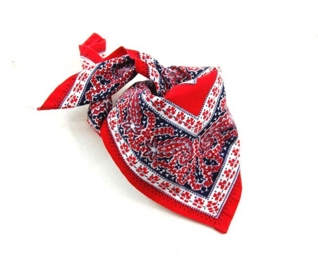 Red Paisley Bandana