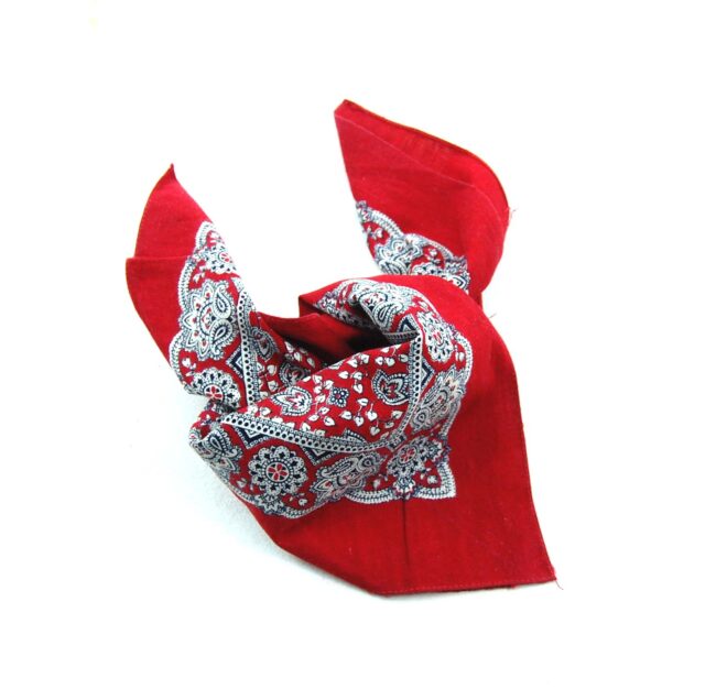 Vintage Red Paisleys Bandana