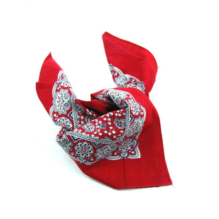 Vintage Red Paisleys Bandana