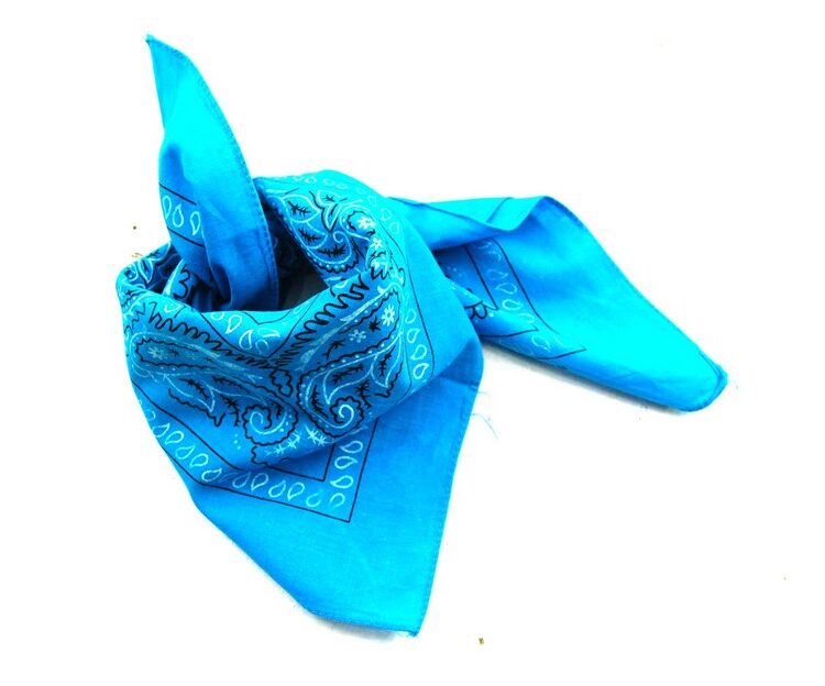 Blue Paisley Print Bandana