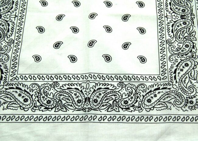 lose up of White Paisley Print Bandana