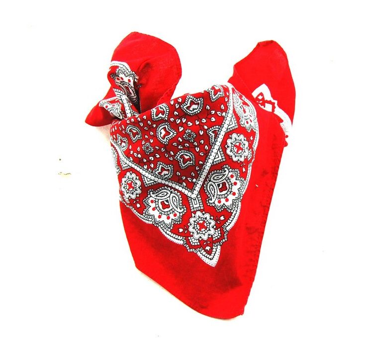 Vintage Paisleys Bandana