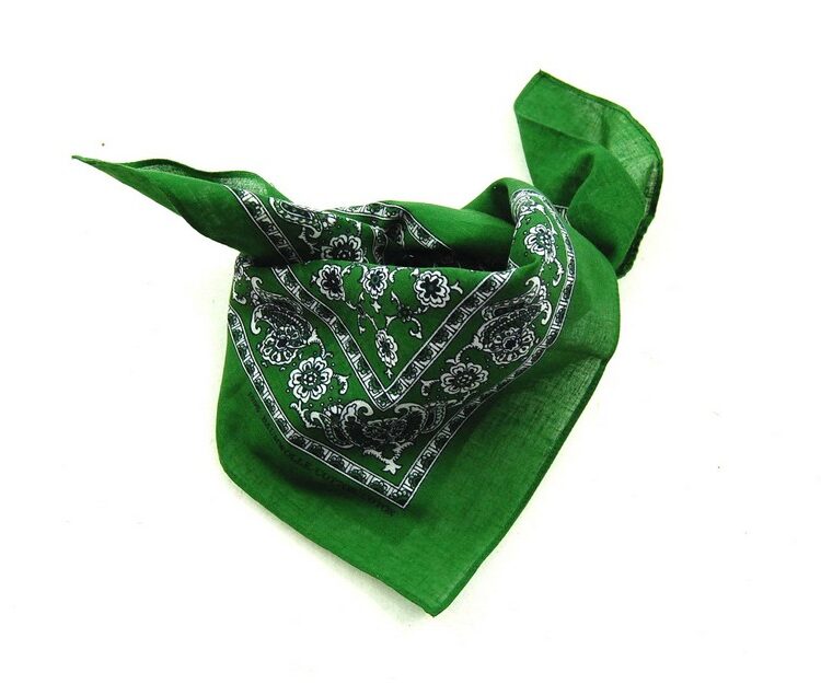 Green Floral Paisley Print Bandana