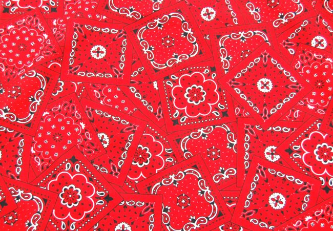Close up of Red And White Bandana