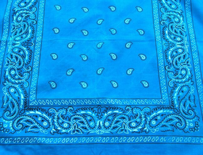 Close up of Blue Paisley Print Bandana