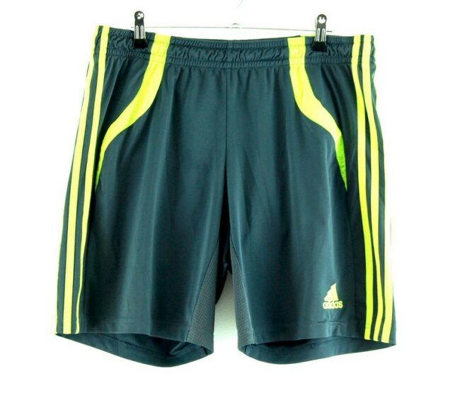 Climacool Adidas 3 stripe Shorts Green