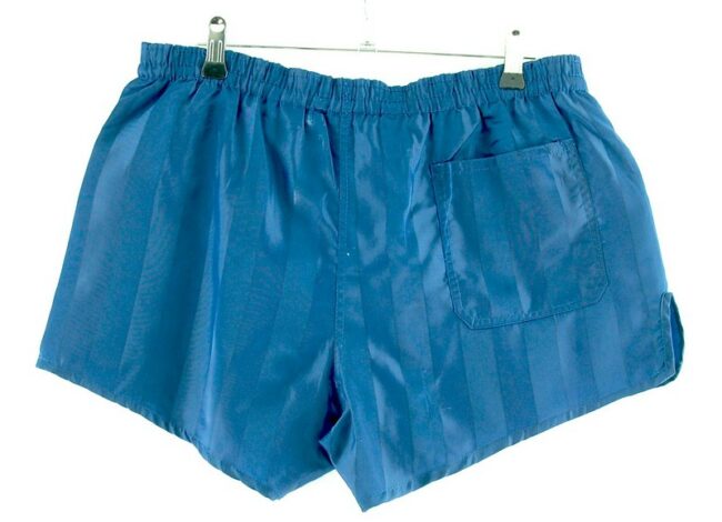 Back of Mens Blue Striped Uhlsport Shorts