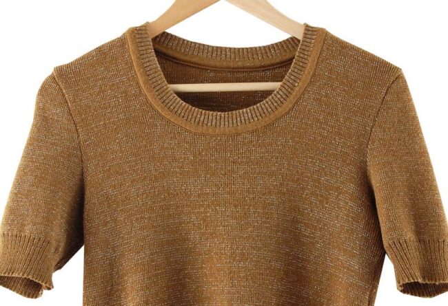 Top Close Up Light Brown Ladies Silver Lurex Top